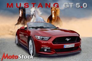 mustang_final60x40_gt5_2992