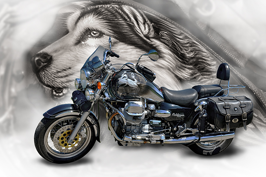 MG California special Airbrush Moto Guzzi California Special / Limbächer / Airbrush: Alaska Malamute / Silvia Jenniges-Kutzner Garmisch-Partenkirchen