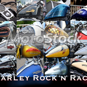MotoART – Harley Sampler Tanks – (0001) – Digitaldruck