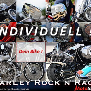 MotoART – Harley Sampler Details – (0002) – Digitaldruck